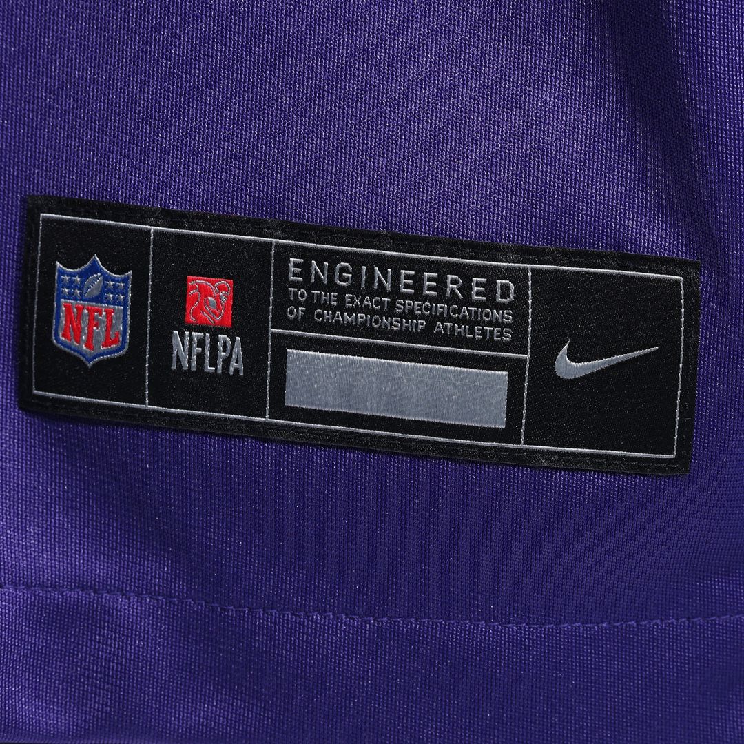 Andrew Van Ginkel Minnesota Vikings Nike Team Game Jersey -  Purple