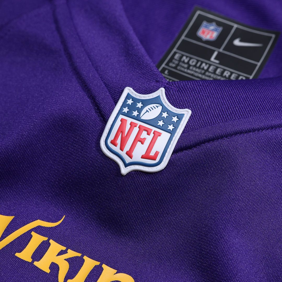 Andrew Van Ginkel Minnesota Vikings Nike Team Game Jersey -  Purple
